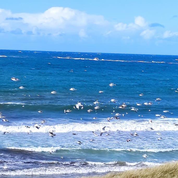 Gite Kerbourc'H Charmant Et Confortable, Mer Et Plages A 3Km, Ploudalmézeau المظهر الخارجي الصورة